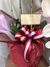 花下へカード付きの光触媒造花胡蝶蘭type5ロング・ラージ5本立ちのイメージ画像