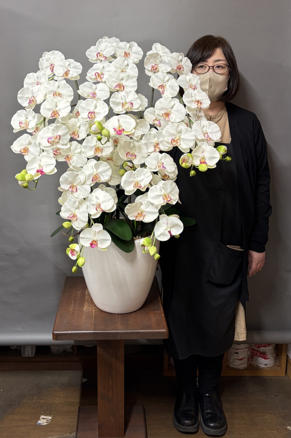 身長158cmのモデルと95cmの光触媒造花胡蝶蘭(ホワイト化粧鉢)・ラージ5本立ち