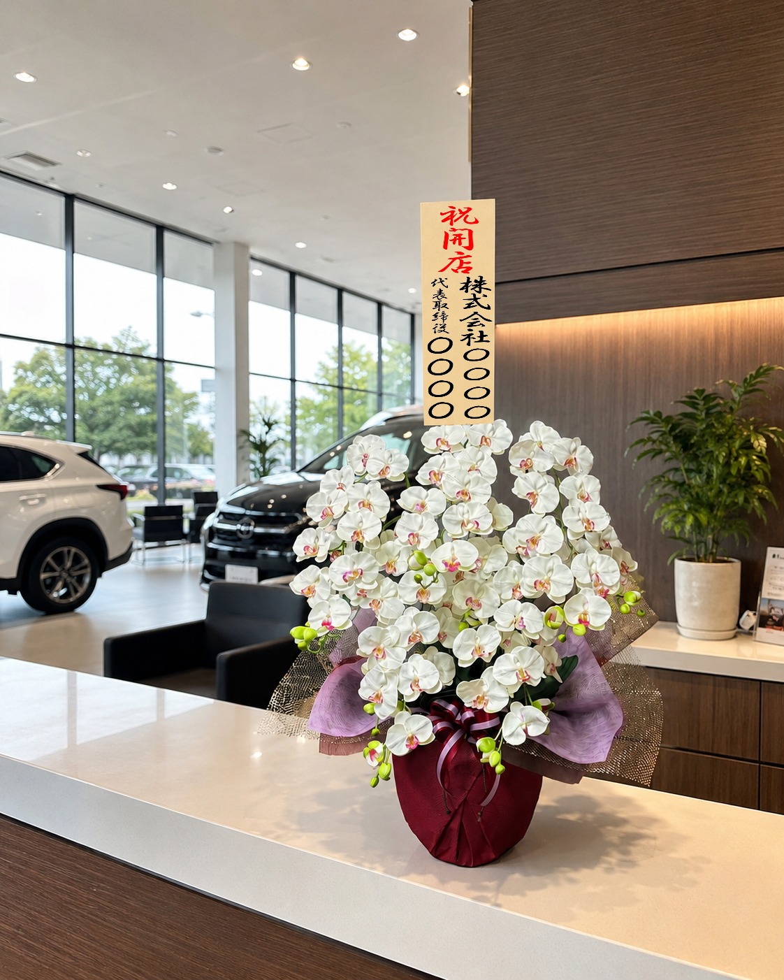 開店祝の立札を付けた光触媒造花胡蝶蘭L5本立ち(白ver.2)・ホワイト化粧鉢W15Mの設置イメージ画像(カーディーラーのショールーム)