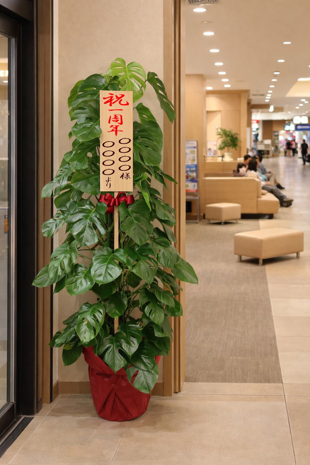 一周年祝の立札とラッピングを付けた観葉植物・モンステラ10号の設置イメージ画像（ショッピングセンターのフロア）
