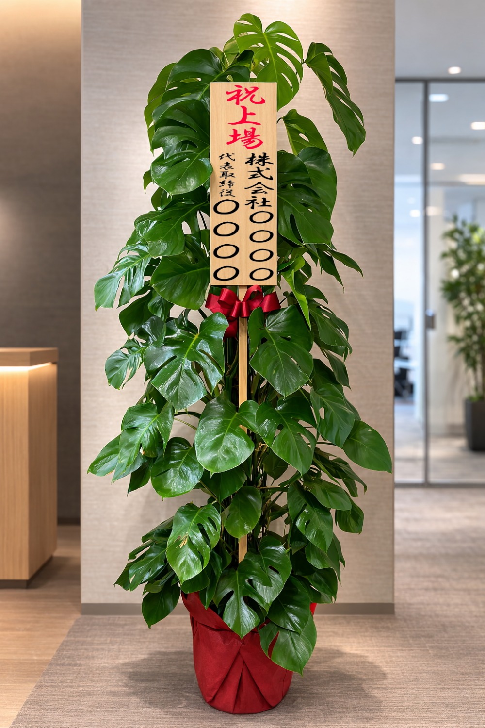 上場祝の立札とラッピングを付けた観葉植物・モンステラ10号の設置イメージ画像（オフィスのフロア）