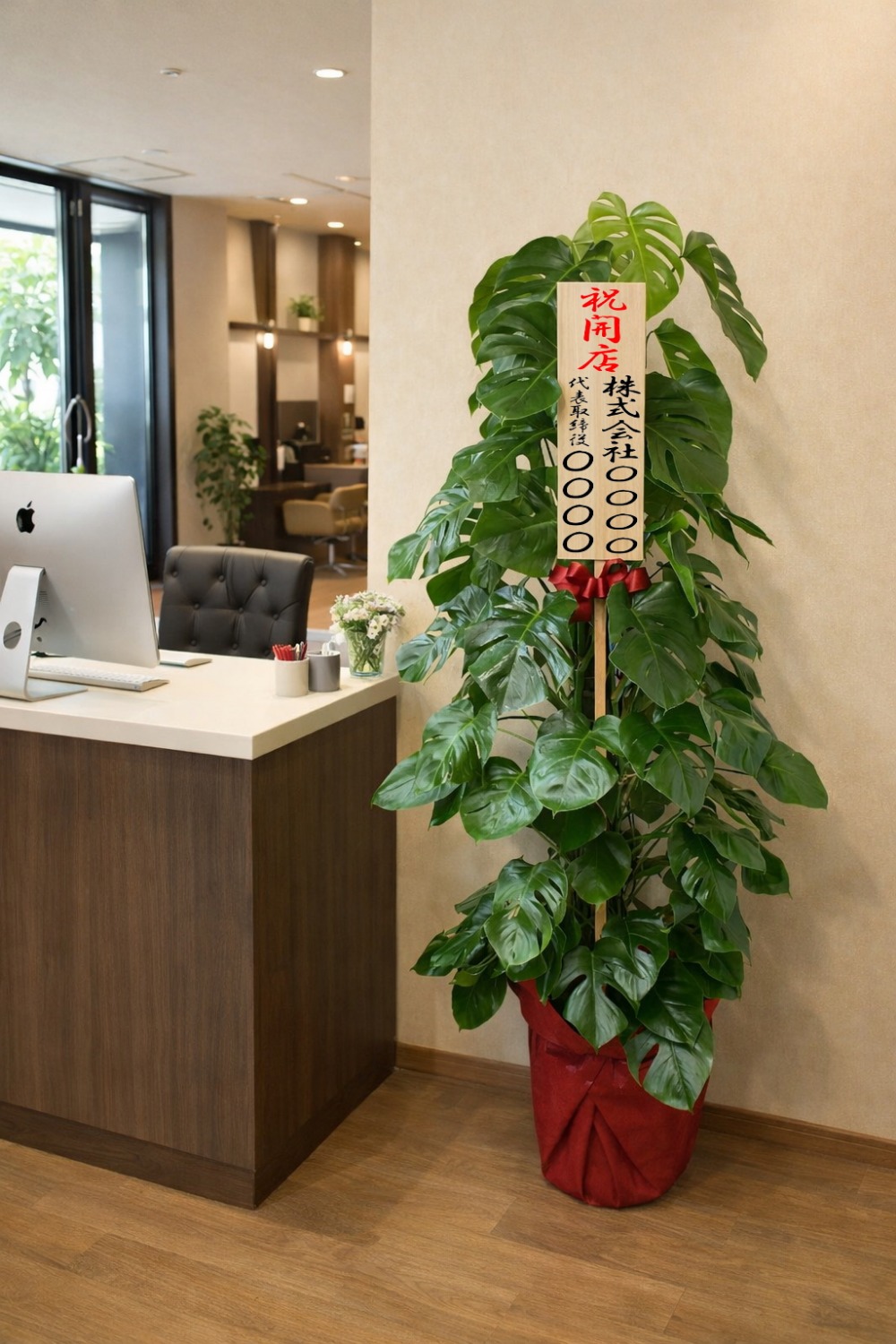 開店祝の立札とラッピングを付けた観葉植物・モンステラ10号の設置イメージ画像（サロン）