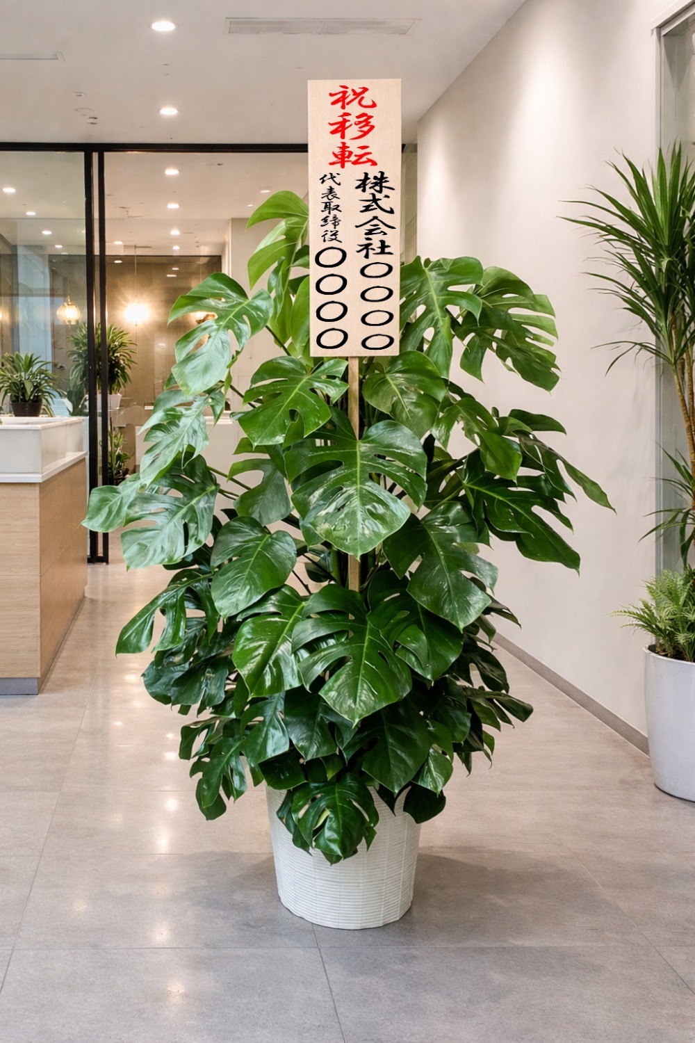 移転祝の立札を付けた観葉植物モンステラ10号・ホワイト鉢カバー付の設置イメージ画像(オフィスのフロア)