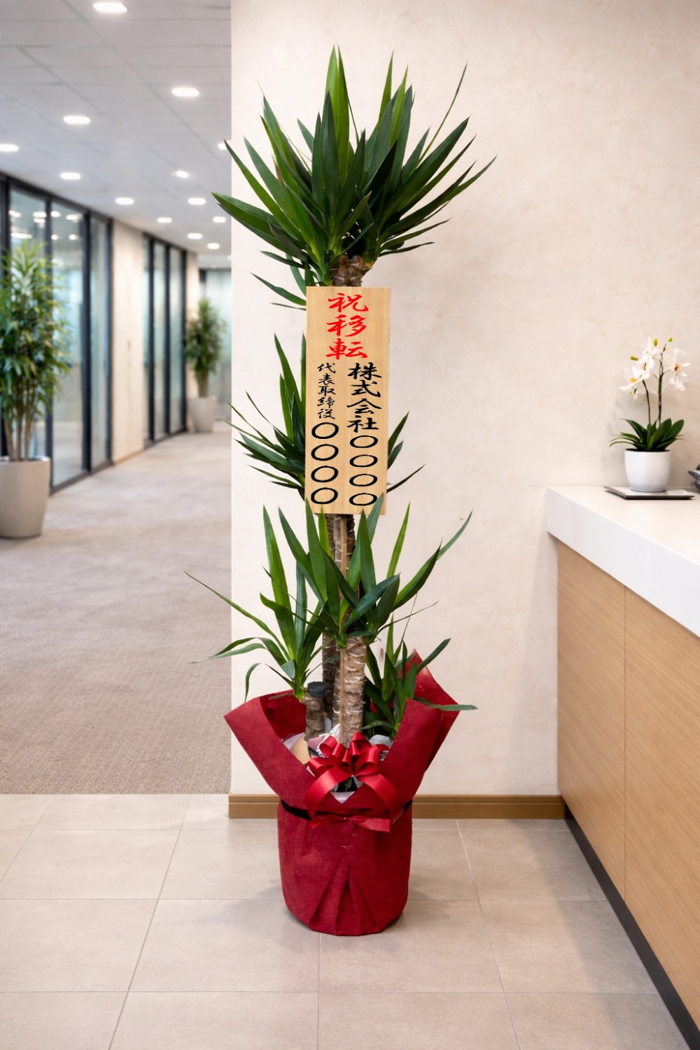 移転祝の立札を付けた観葉植物ユッカ10号鉢の設置イメージ画像（オフィス）