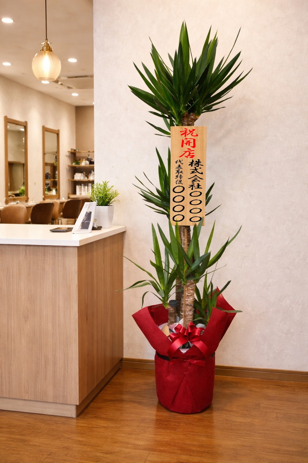 開店の立札を付けた観葉植物ユッカ10号鉢の設置イメージ画像（美容院）