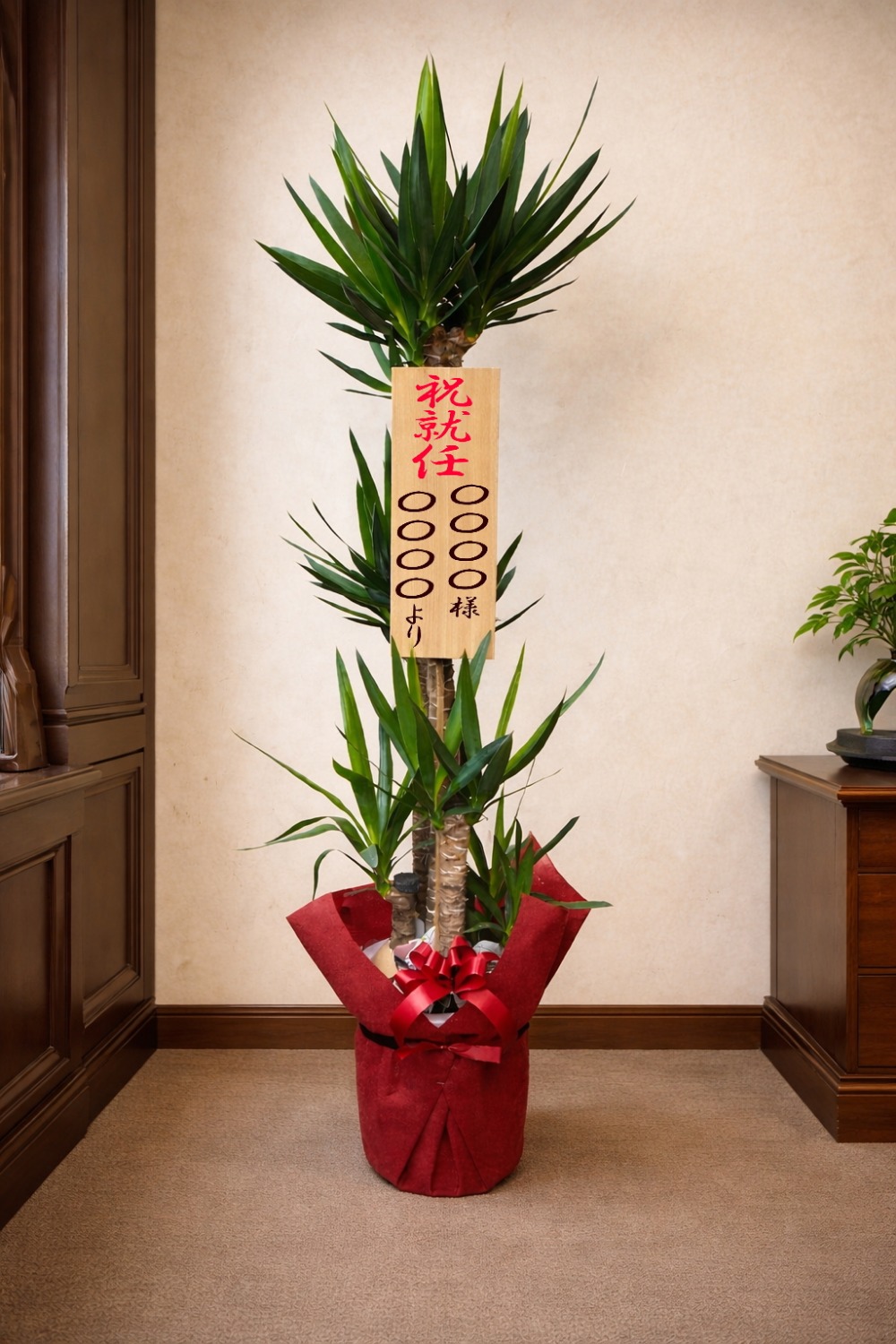 就任祝の立札を付けた観葉植物ユッカ10号鉢の設置イメージ画像（社長室・役員室）