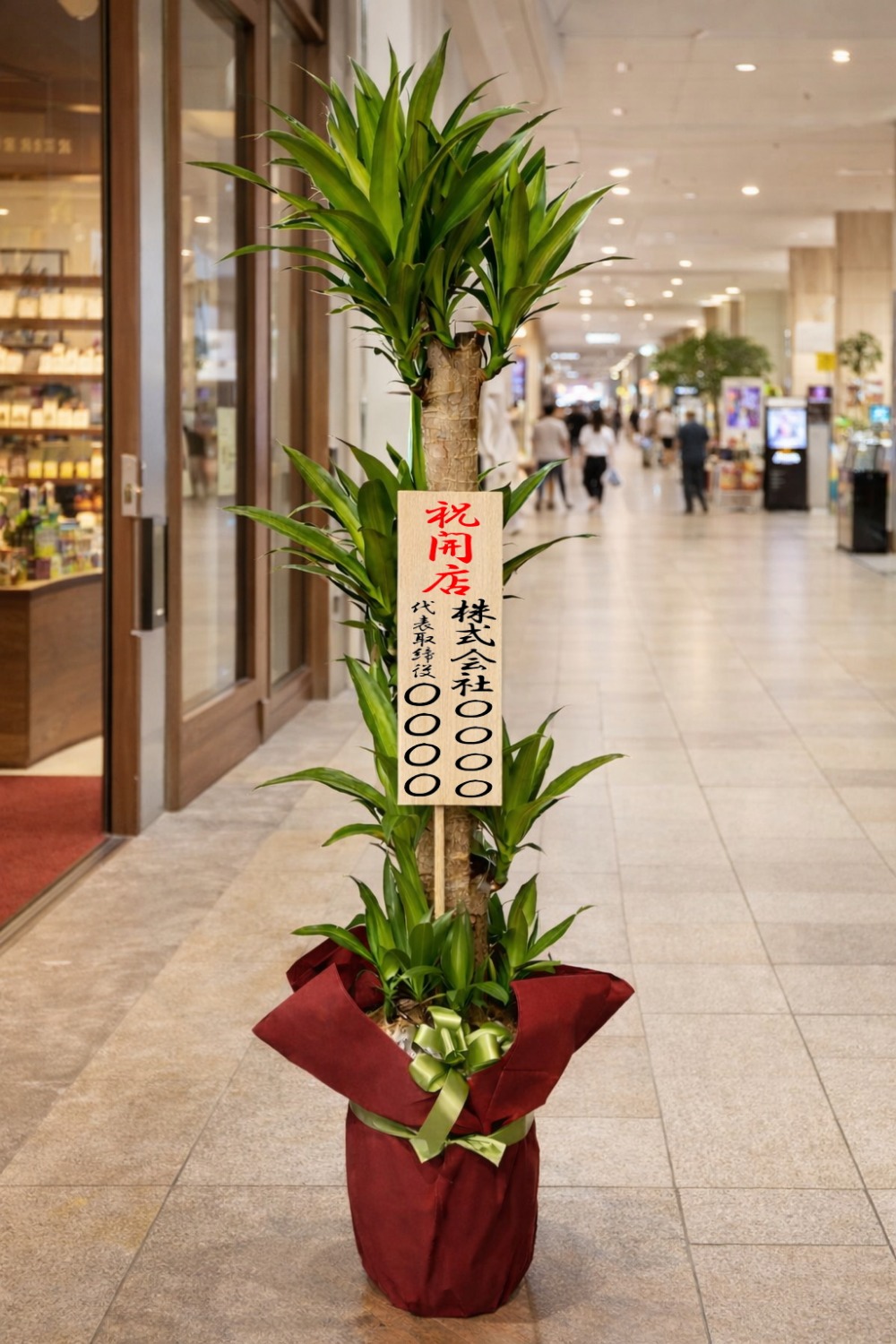 開店祝の立札を付けた観葉植物ドラセナ・マッサンゲアナ幸福の木の設置イメージ画像(ショッピングセンター)