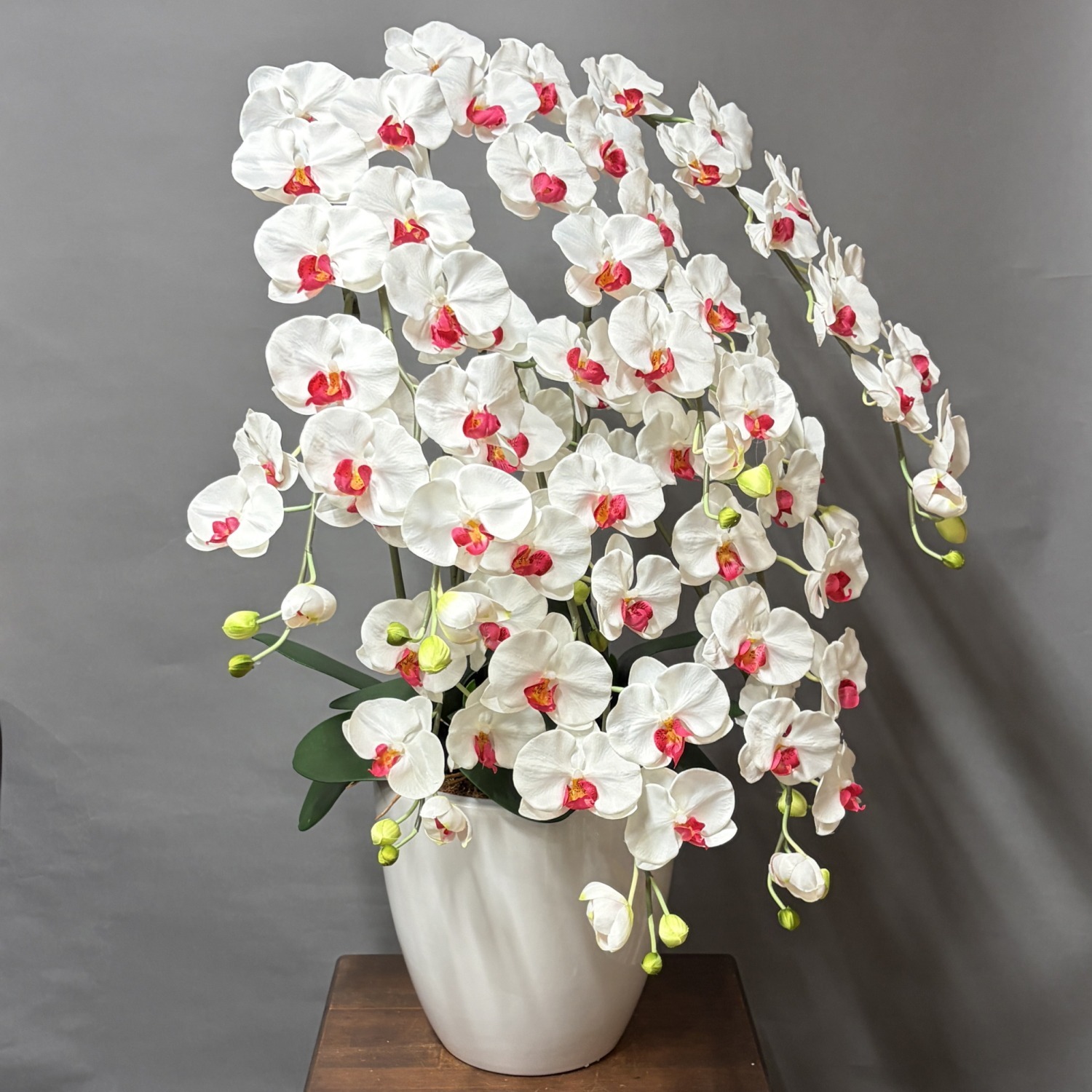 光触媒造花胡蝶蘭l5本立ち(白赤)W15Mの右斜め前