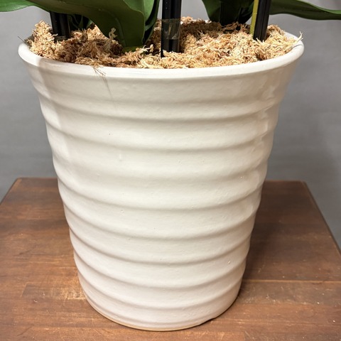ホワイト陶器鉢W28の画像