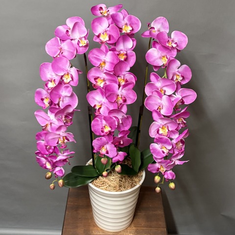光触媒造花胡蝶蘭（type2）L3F（ピンク）W28