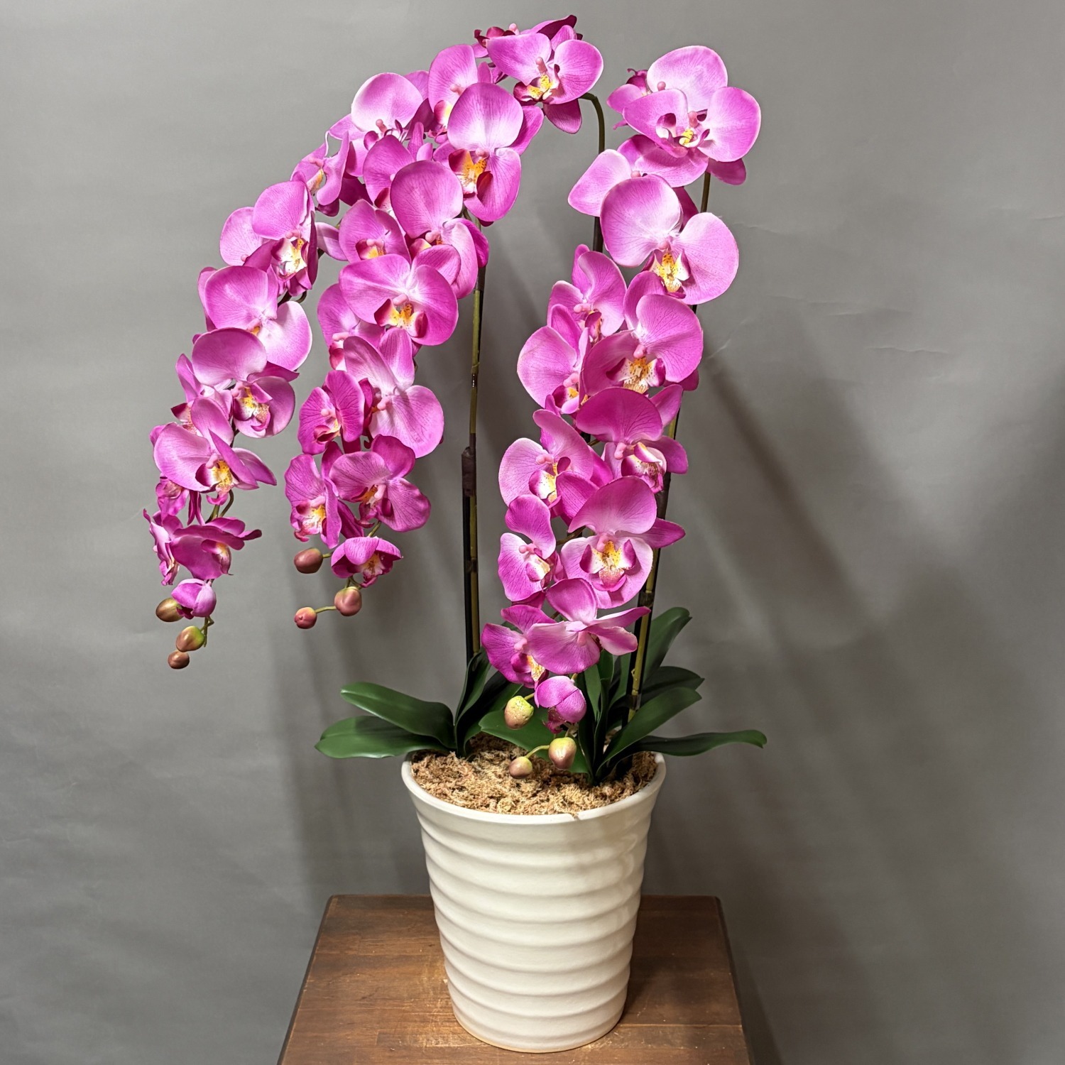 光触媒造花胡蝶蘭(type2)L3F(ピンク)白鉢の右前