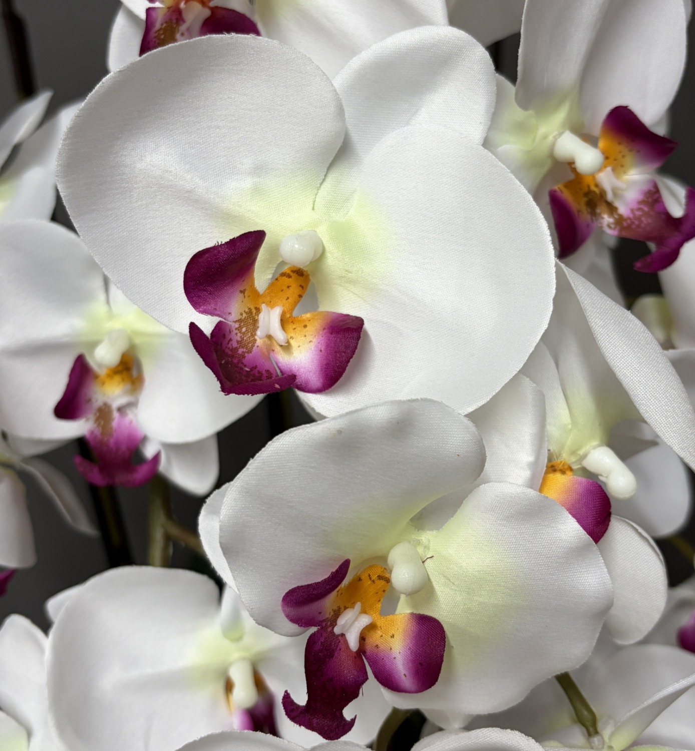光触媒造花胡蝶蘭ラージの花弁(赤リップ)の画像