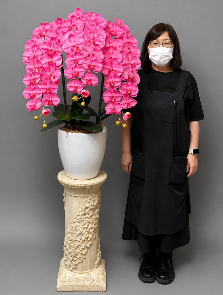 身長158cmのモデルと165cmの光触媒造花胡蝶蘭特大輪ピンク3本立ち・ホワイト化粧鉢W15M・石柱タイプ花台付き