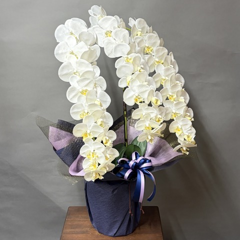 お悔み用光触媒造花胡蝶蘭（ロング）L3本立ち（白）の左