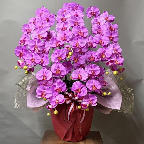 光触媒造花胡蝶蘭ラージ5本立ち（濃いピンク）W15Mの画像