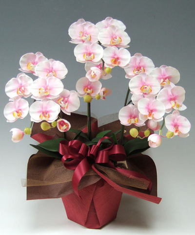 光触媒造花胡蝶蘭スタンダード（淡いピンク）3本立ちの画像