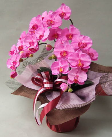 造花胡蝶蘭スタンダード（濃いピンク）3本立ちの横の画像