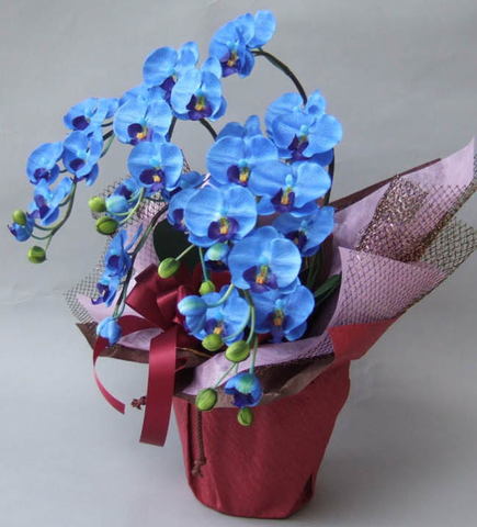 光触媒造花ミニ胡蝶蘭（ブルー）3本立ちの横側の画像