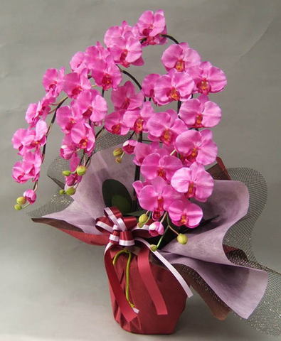 光触媒造花胡蝶蘭ラージ（濃ピンク）3本立ちの横側の画像