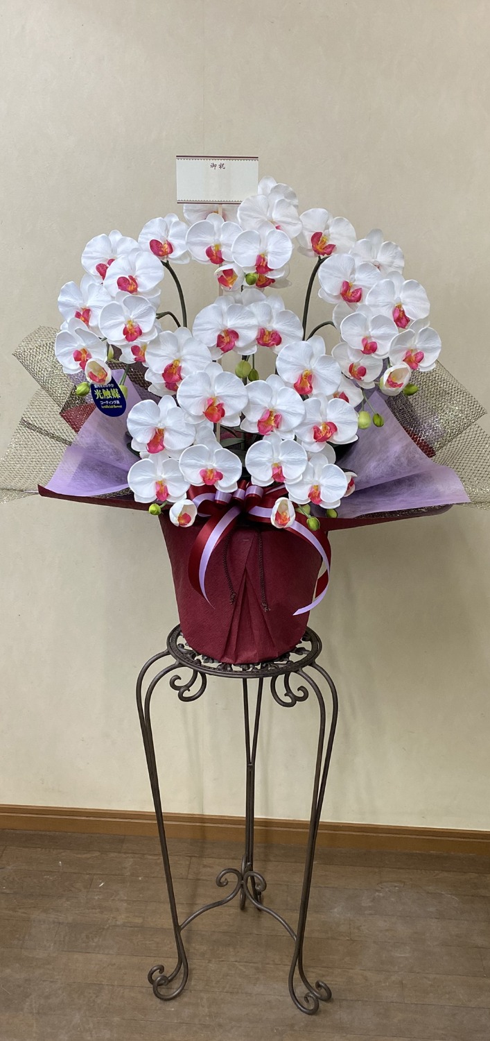 胡蝶蘭M５F白（高７０cm×幅４０cm）（光触媒） - 造花、アートフラワー