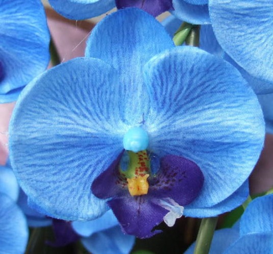 光触媒造花胡蝶蘭ミニの花弁（ブルー）の画像