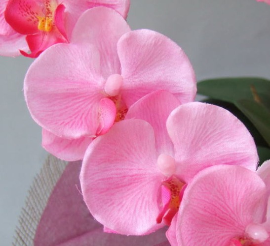 光触媒造花ハート胡蝶蘭ミニの花弁（ピンク）の画像