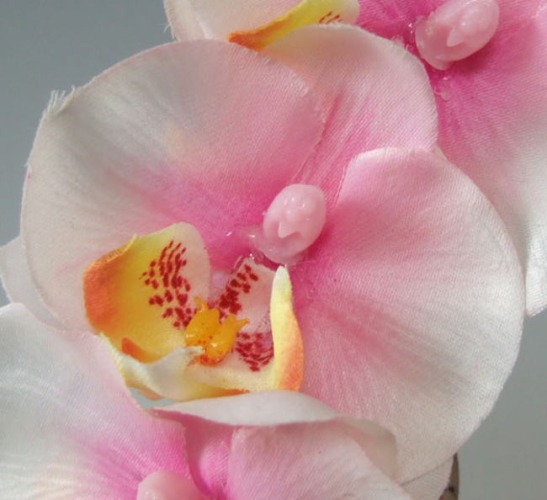 光触媒造花ハート胡蝶蘭ミニの花弁（淡いピンク）の画像