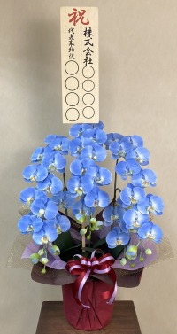 立札付きの光触媒造花胡蝶蘭ラージのイメージ画像