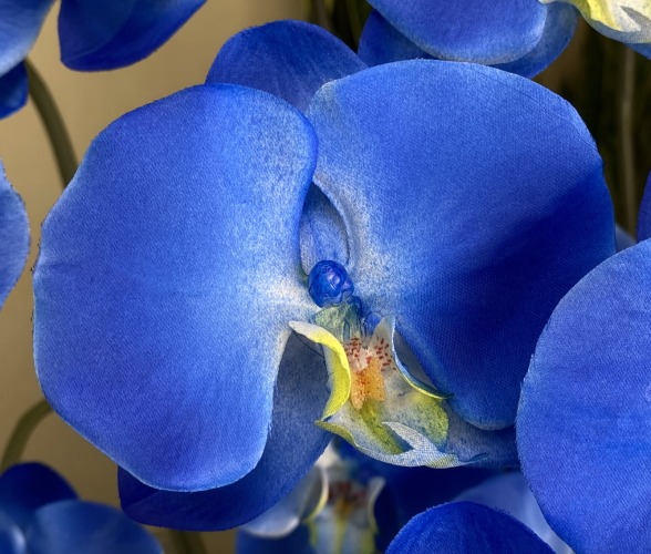 光触媒造花胡蝶蘭ラージの花弁（ロイヤルブルー）の画像