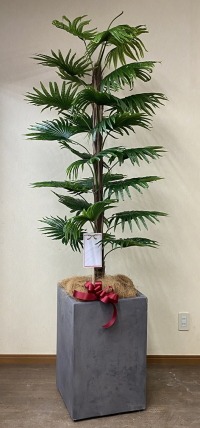 名札付きの光触媒造花観葉植物 シュロチク・コンクリート風大型スクエア鉢（グレイ）の画像