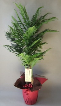 8寸立札付きの光触媒造花観葉植物アレカヤシの画像