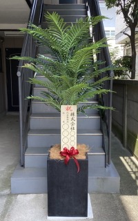 立札付きの光触媒造花観葉植物 アレカヤシ（コンクリート風大型スクエア鉢・ブラック）の画像