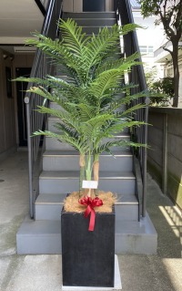 カード付きの光触媒造花観葉植物 アレカヤシ（コンクリート風大型スクエア鉢・ブラック）の画像