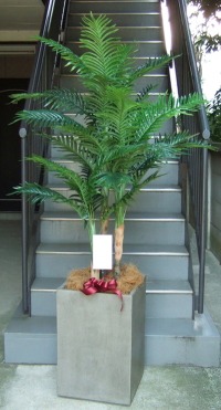 名札付きの光触媒造花観葉植物 アレカヤシ（コンクリート風大型スクエア鉢・グレイ）の画像