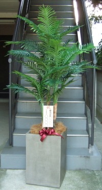 8寸立札付きの光触媒造花観葉植物 アレカヤシ（コンクリート風大型スクエア鉢・グレイ）の画像