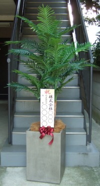 立札付きの光触媒造花観葉植物 アレカヤシ（コンクリート風大型スクエア鉢・グレイ）の画像