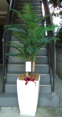 名札付きの光触媒造花観葉植物 アレカヤシ（ファイバーグラス製スクエア鉢）の画像
