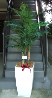 カード付きの光触媒造花観葉植物 アレカヤシ（ファイバーグラス製スクエア鉢）の画像