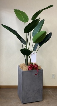 名札付きの光触媒造花観葉植物 コンクリート風大型スクエア鉢（グレイ）の画像