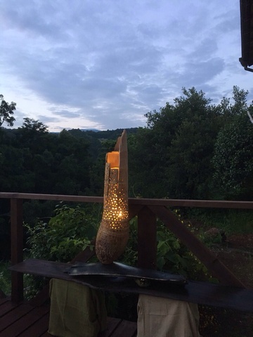 大型竹流木ランプ