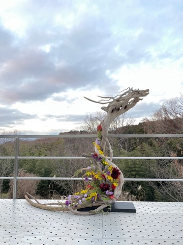 流木アート，流木オブジェ，流木ライト,流木ディスプレイ,流木ランプ