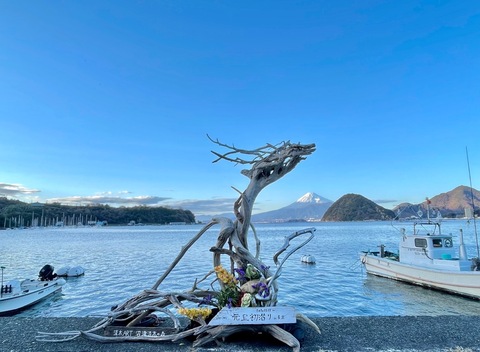 流木＜ 流木の森,流木＜海流木専門店 沼津 流木の森