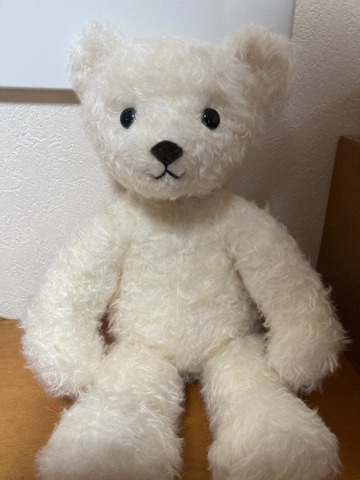 発送はぬいぐるみのみです