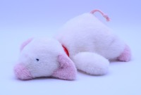 童心 ぬいぐるみメーカー㈱童心のダイレクトショップです。