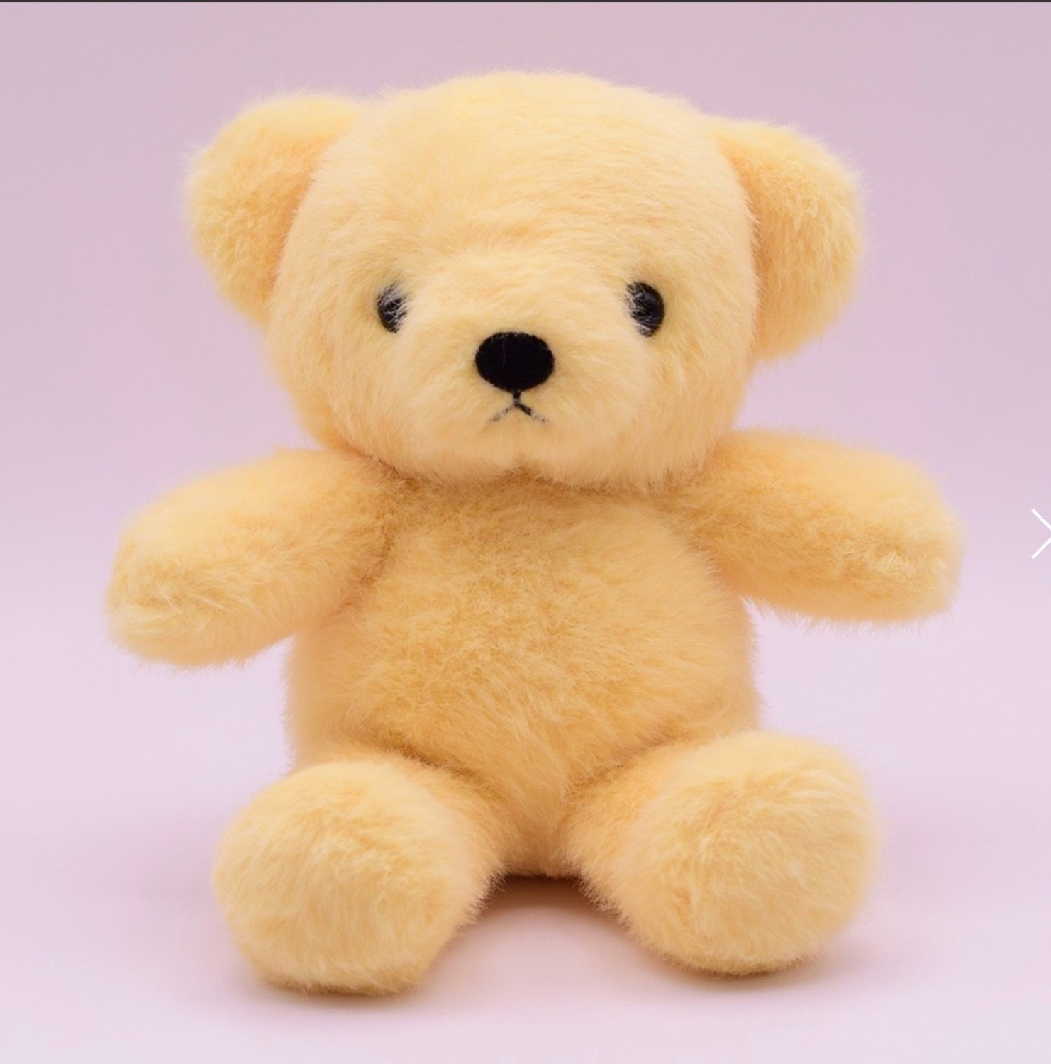 ぬいぐるみ、テディベア、名入れぬいぐるみ