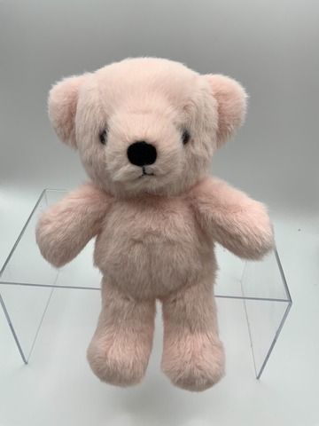 ぬいぐるみ、テディベア、名入れぬいぐるみ