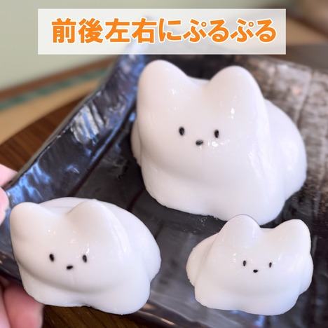 猫のミルクプリン 韓国 大人気 猫プリン ＜ 兎月園