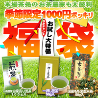 がん死亡率日本一低い掛川市民の長寿の秘訣 掛川深蒸し 緑茶