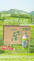茶和家 JA掛川市 かけがわ茶（深蒸し茶）アルミ缶 490g ｘ 48本