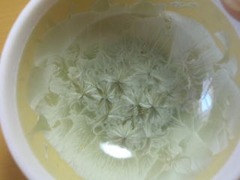 清水焼　陶あん窯　花結晶（黄）ミニ丸蓋物